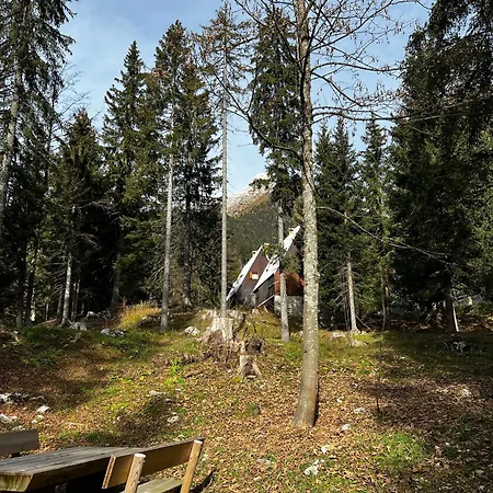 Chalet ~chalet_rifugio Tra I Boschi~